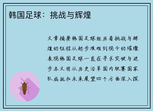 韩国足球：挑战与辉煌